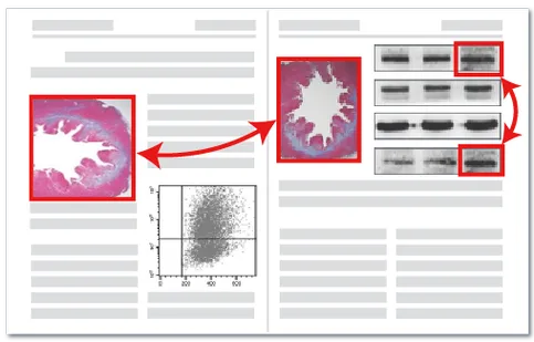 图片重复检测技术演示